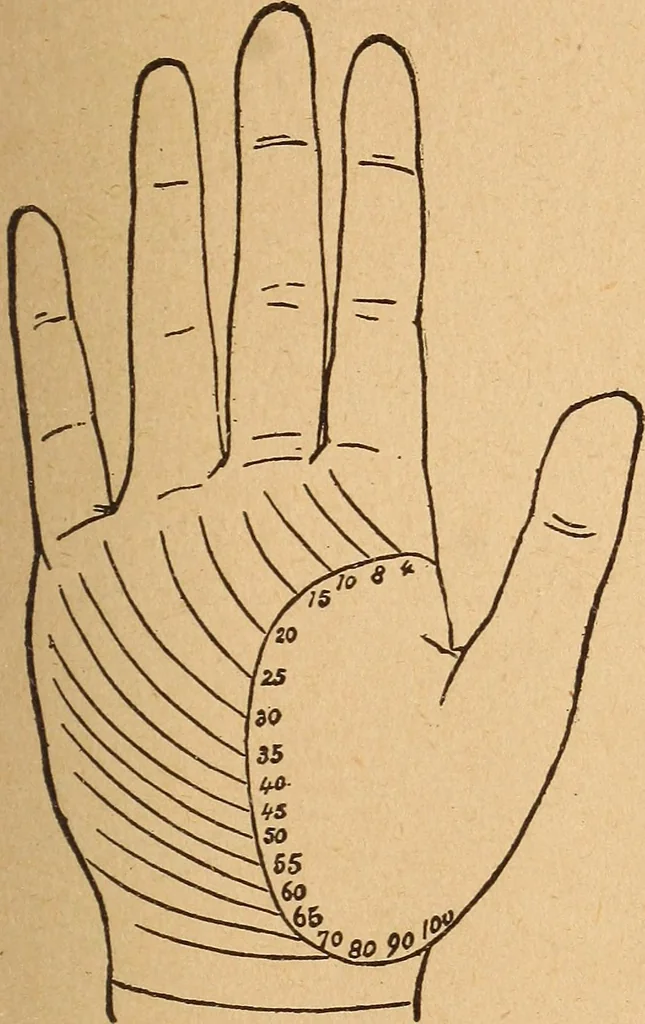 An illustration from Popular pastimes for amusement and instruction : being a standard work on games, plays, magic, and natural phenomena suitable for all occasions : containing parlor games, charming tableaux, tricks of magic, charades and conundrums, curious puzzles, phrenology and mind reading, palmistry or how to read the hand, humorous and pathetic recitations, dialogues, etc., etc. : including the delightful art of entertaining, the whole forming a charming treasury of pastimes for the home, public schools and academies, lodges, social gatherings, Sunday schools, etc., etc., 1901, leaf 168