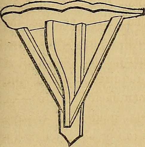 An illustration from Popular pastimes for field and fireside;, 1867, leaf 120
