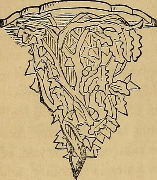 An illustration from Popular pastimes for field and fireside;, 1867, leaf 121