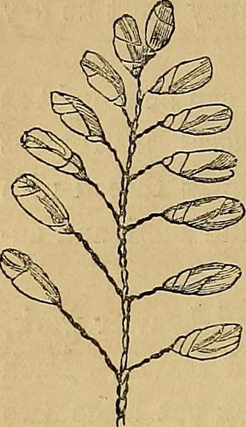 An illustration from Popular pastimes for field and fireside;, 1867, leaf 127