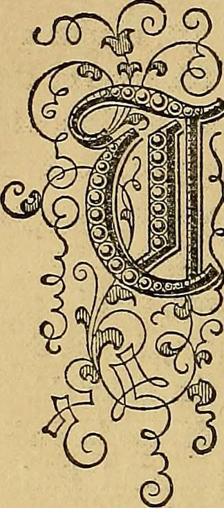 An illustration from Popular pastimes for field and fireside;, 1867, leaf 133