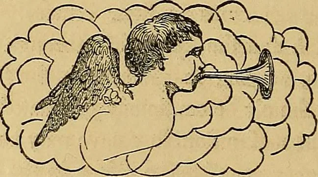 An illustration from Popular pastimes for field and fireside;, 1867, leaf 137