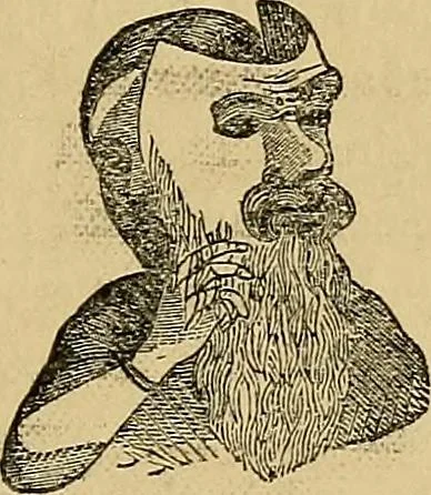 An illustration from Popular pastimes for field and fireside;, 1867, leaf 160