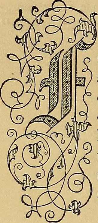 An illustration from Popular pastimes for field and fireside;, 1867, leaf 161