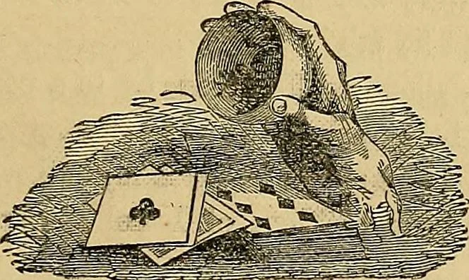 An illustration from Popular pastimes for field and fireside;, 1867, leaf 164