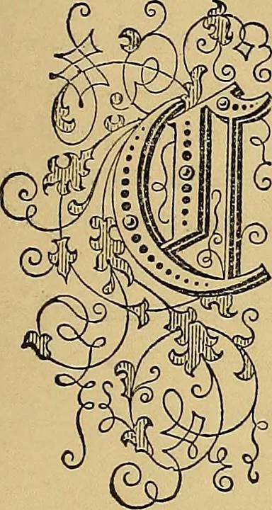 An illustration from Popular pastimes for field and fireside;, 1867, leaf 18