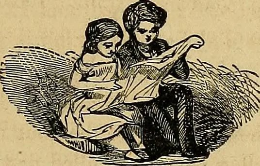 An illustration from Popular pastimes for field and fireside;, 1867, leaf 186
