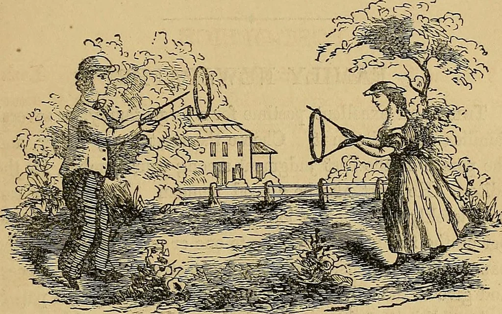 An illustration from Popular pastimes for field and fireside;, 1867, leaf 220