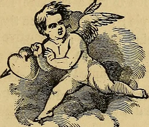 An illustration from Popular pastimes for field and fireside;, 1867, leaf 222