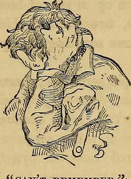 An illustration from Popular pastimes for field and fireside;, 1867, leaf 226