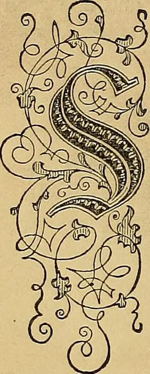 An illustration from Popular pastimes for field and fireside;, 1867, leaf 227