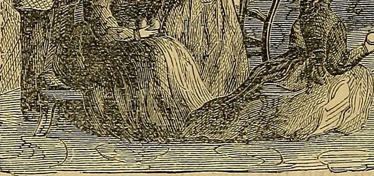An illustration from Popular pastimes for field and fireside;, 1867, leaf 231