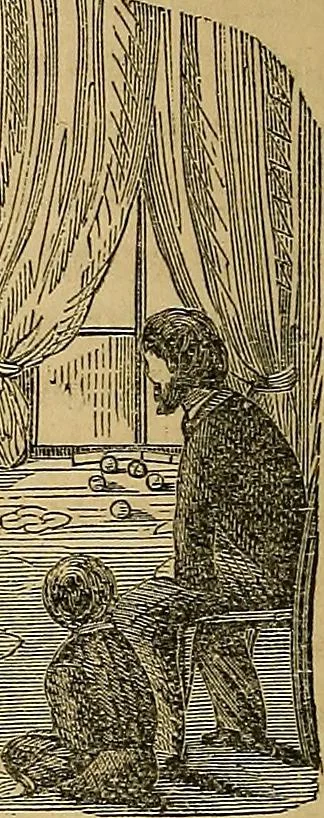 An illustration from Popular pastimes for field and fireside;, 1867, leaf 231