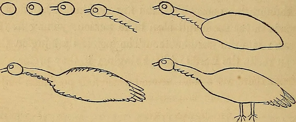 An illustration from Popular pastimes for field and fireside;, 1867, leaf 243
