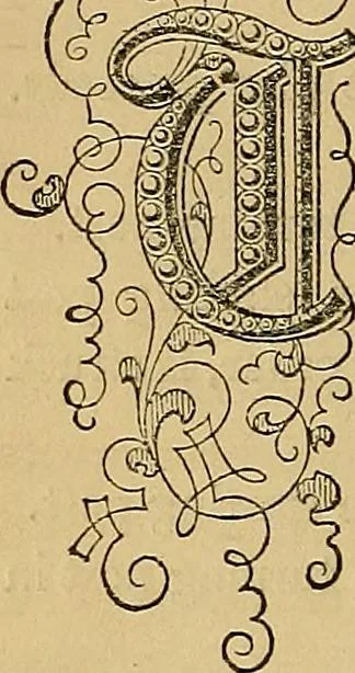 An illustration from Popular pastimes for field and fireside;, 1867, leaf 47