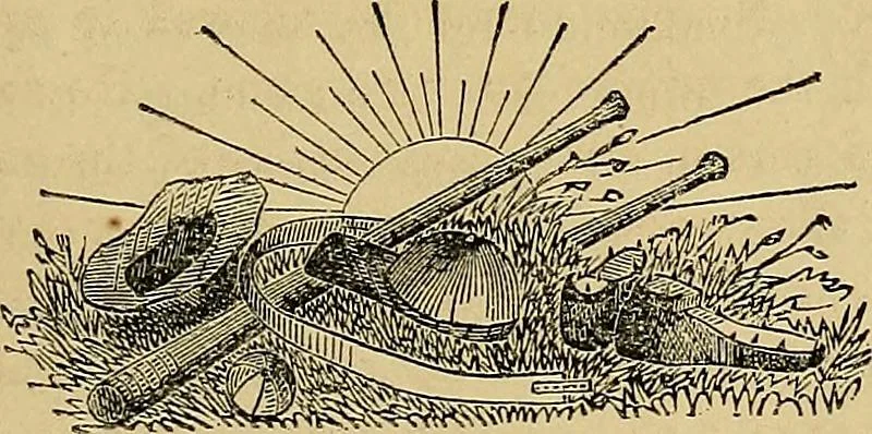 An illustration from Popular pastimes for field and fireside;, 1867, leaf 68
