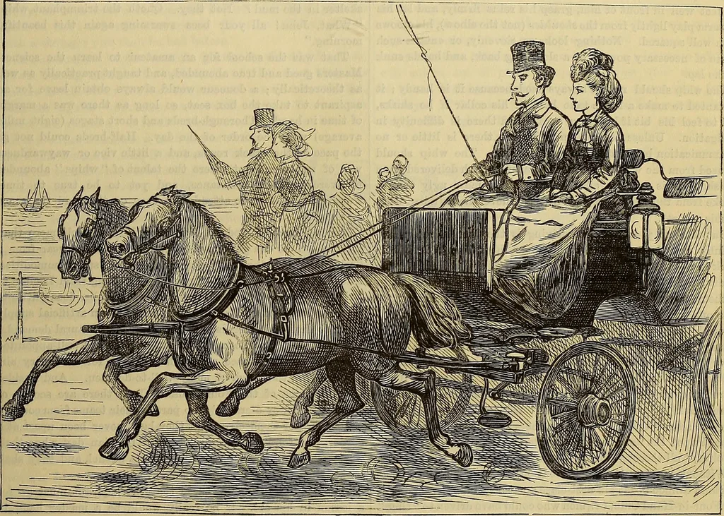 An illustration from The Popular recreator. A key to in-door and out-door amusements .., 1873, leaf 102