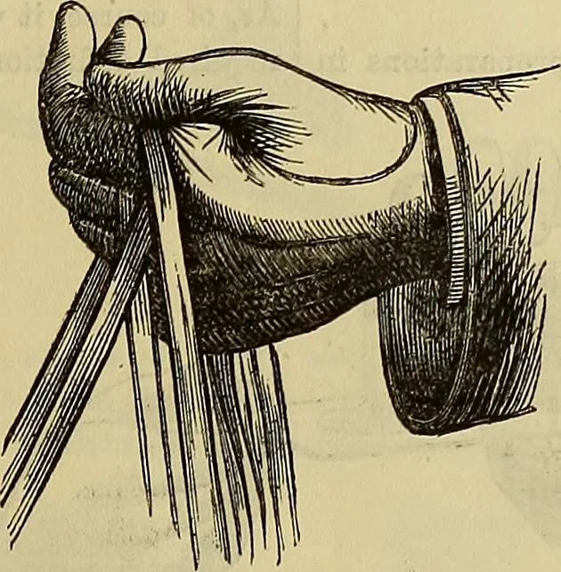 An illustration from The Popular recreator. A key to in-door and out-door amusements .., 1873, leaf 104