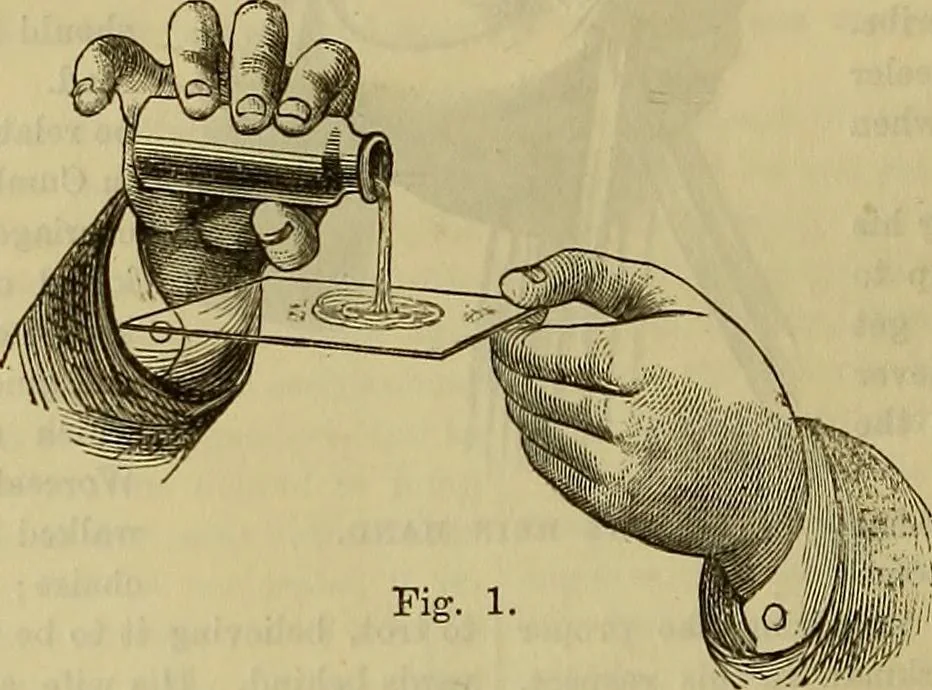 An illustration from The Popular recreator. A key to in-door and out-door amusements .., 1873, leaf 105