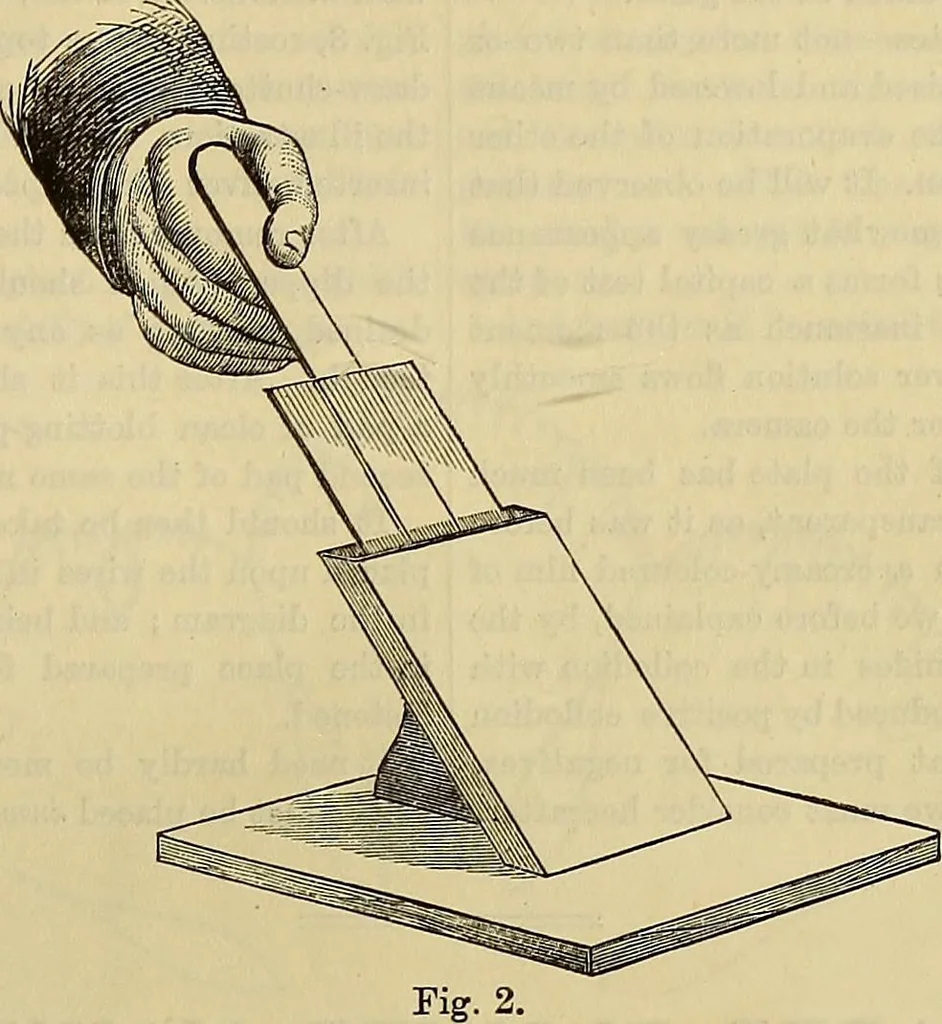 An illustration from The Popular recreator. A key to in-door and out-door amusements .., 1873, leaf 106