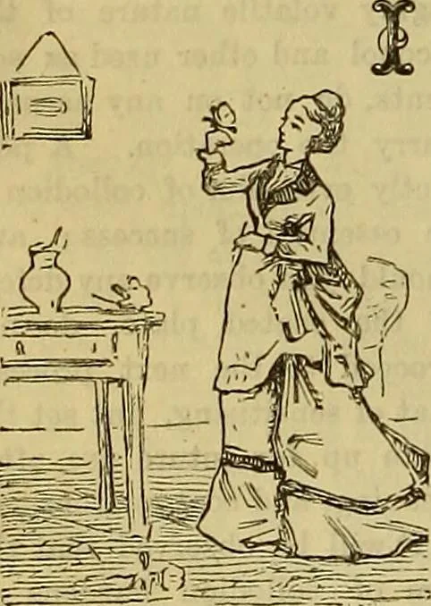 An illustration from The Popular recreator. A key to in-door and out-door amusements .., 1873, leaf 107