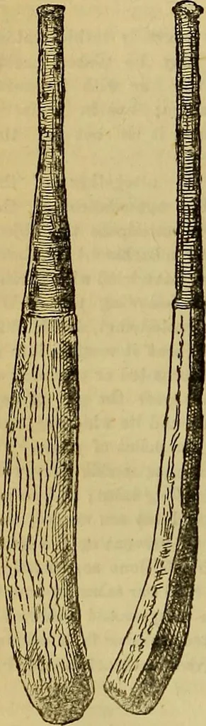 An illustration from The Popular recreator. A key to in-door and out-door amusements .., 1873, leaf 113