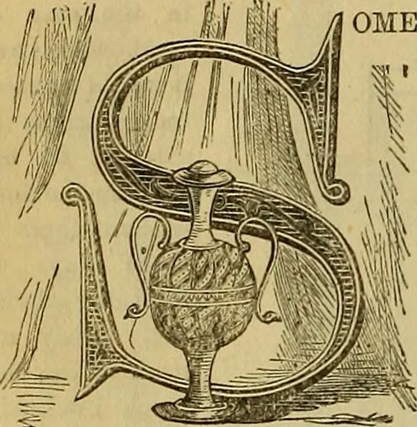 An illustration from The Popular recreator. A key to in-door and out-door amusements .., 1873, leaf 115