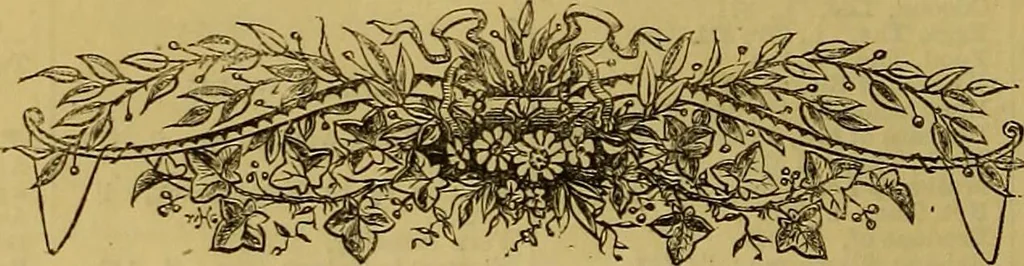 An illustration from The Popular recreator. A key to in-door and out-door amusements .., 1873, leaf 13