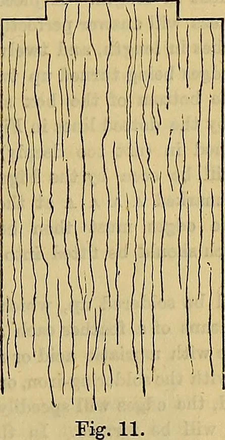 An illustration from The Popular recreator. A key to in-door and out-door amusements .., 1873, leaf 130