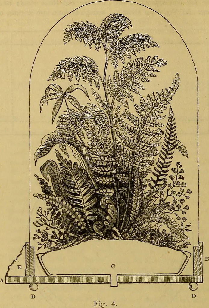 An illustration from The Popular recreator. A key to in-door and out-door amusements .., 1873, leaf 133