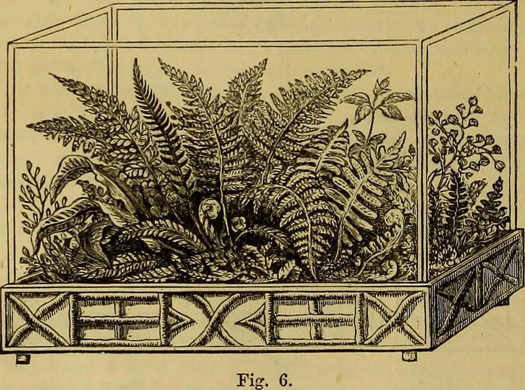 An illustration from The Popular recreator. A key to in-door and out-door amusements .., 1873, leaf 133