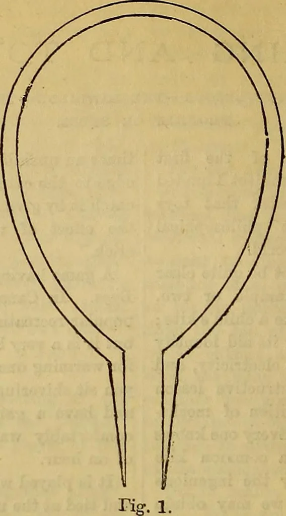 An illustration from The Popular recreator. A key to in-door and out-door amusements .., 1873, leaf 137