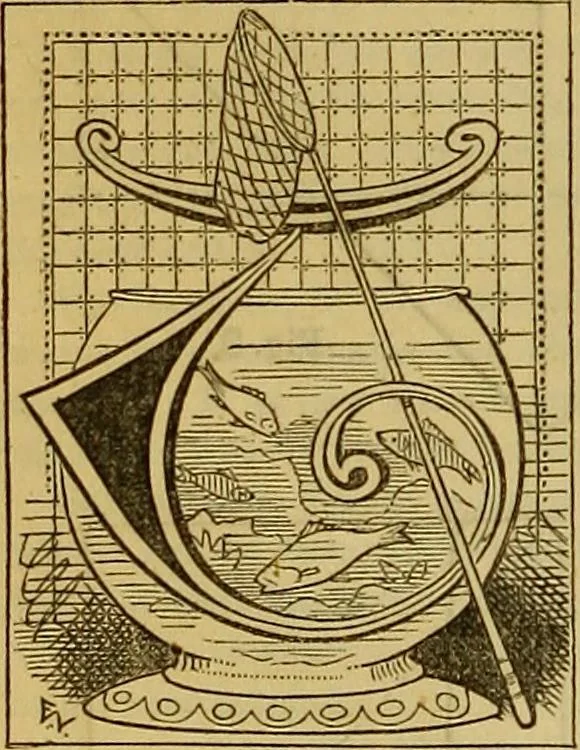 An illustration from The Popular recreator. A key to in-door and out-door amusements .., 1873, leaf 139