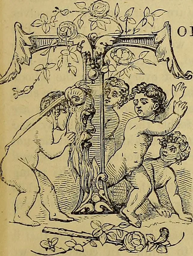 An illustration from The Popular recreator. A key to in-door and out-door amusements .., 1873, leaf 14