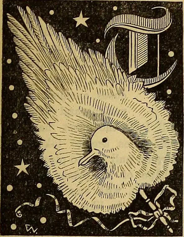 An illustration from The Popular recreator. A key to in-door and out-door amusements .., 1873, leaf 148