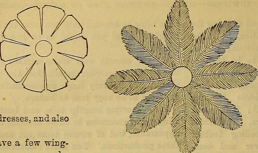 An illustration from The Popular recreator. A key to in-door and out-door amusements .., 1873, leaf 149