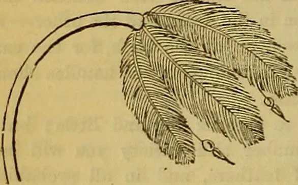 An illustration from The Popular recreator. A key to in-door and out-door amusements .., 1873, leaf 149