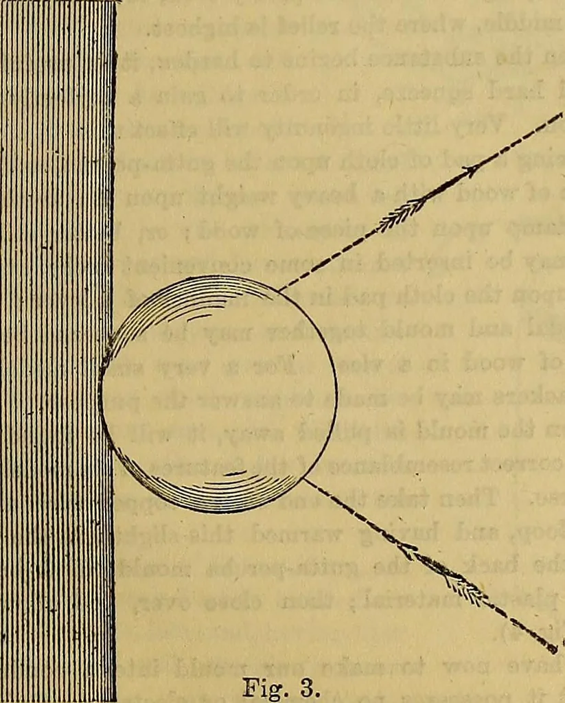 An illustration from The Popular recreator. A key to in-door and out-door amusements .., 1873, leaf 152