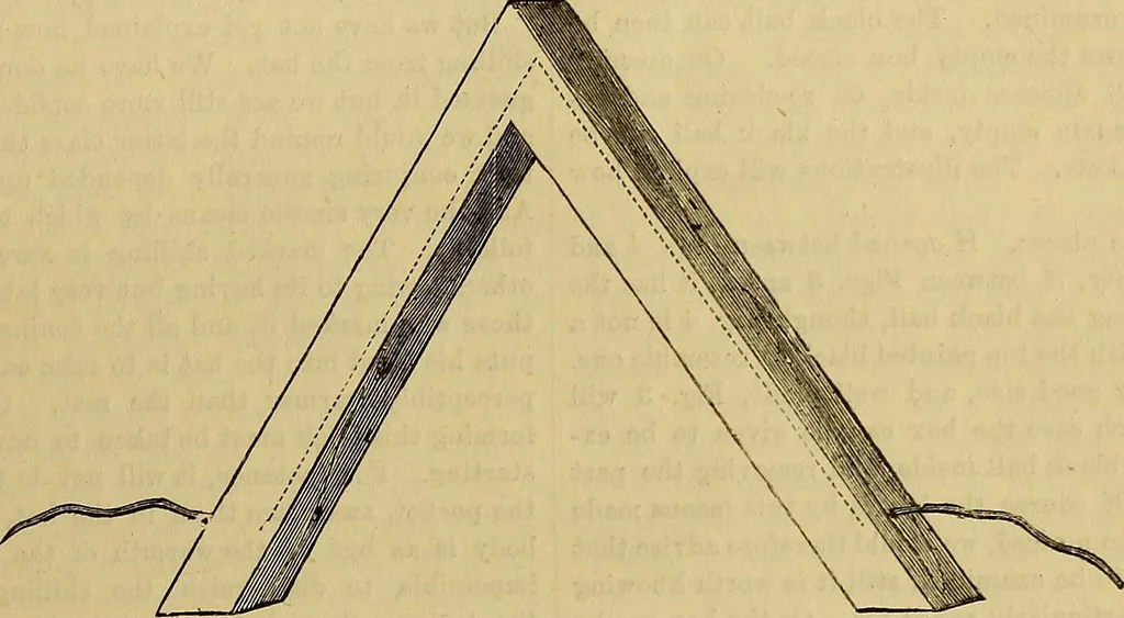 An illustration from The Popular recreator. A key to in-door and out-door amusements .., 1873, leaf 162