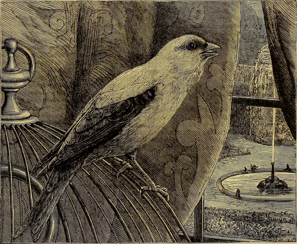 An illustration from The Popular recreator. A key to in-door and out-door amusements .., 1873, leaf 166