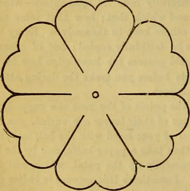 An illustration from The Popular recreator. A key to in-door and out-door amusements .., 1873, leaf 173