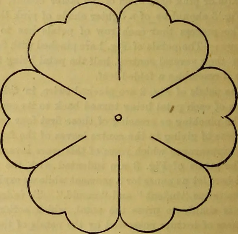 An illustration from The Popular recreator. A key to in-door and out-door amusements .., 1873, leaf 173