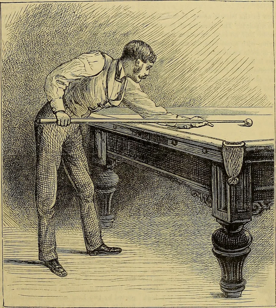 An illustration from The Popular recreator. A key to in-door and out-door amusements .., 1873, leaf 18