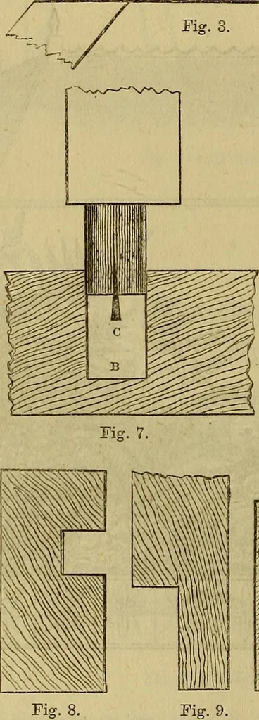 An illustration from The Popular recreator. A key to in-door and out-door amusements .., 1873, leaf 183