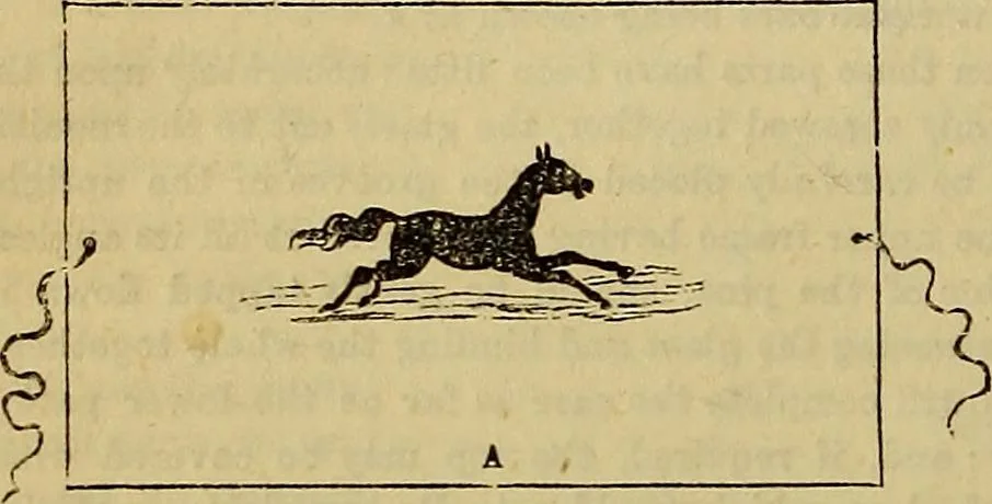 An illustration from The Popular recreator. A key to in-door and out-door amusements .., 1873, leaf 185
