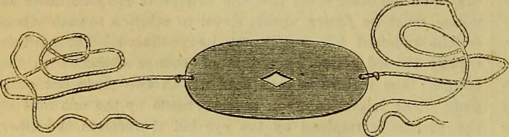 An illustration from The Popular recreator. A key to in-door and out-door amusements .., 1873, leaf 185