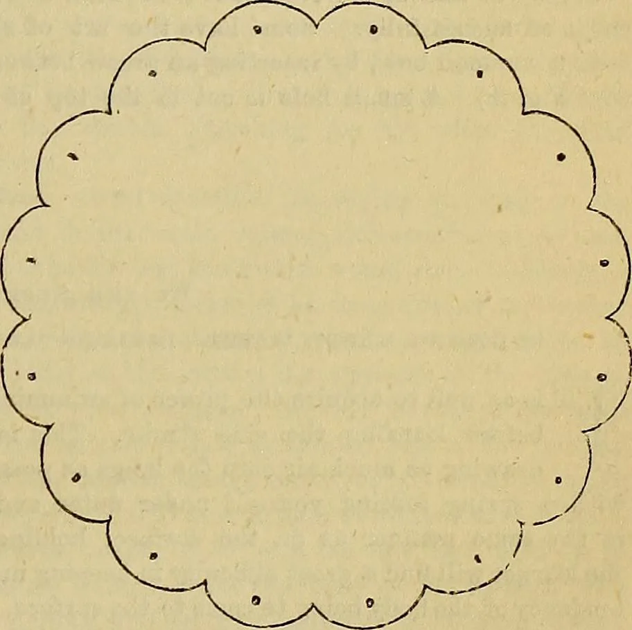 An illustration from The Popular recreator. A key to in-door and out-door amusements .., 1873, leaf 186