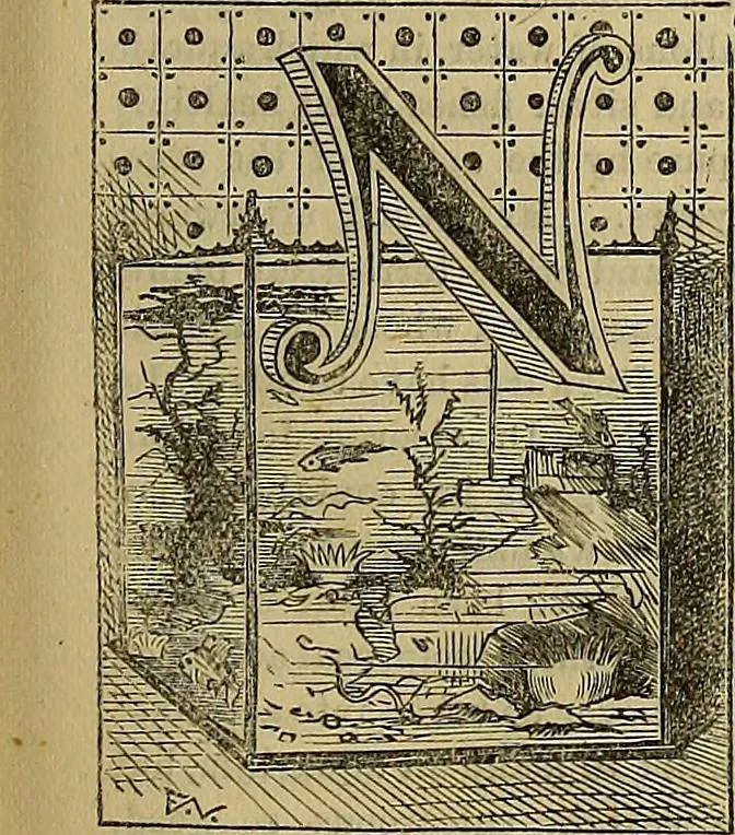 An illustration from The Popular recreator. A key to in-door and out-door amusements .., 1873, leaf 200