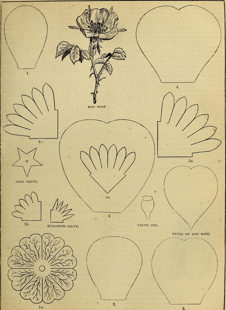 An illustration from The Popular recreator. A key to in-door and out-door amusements .., 1873, leaf 218