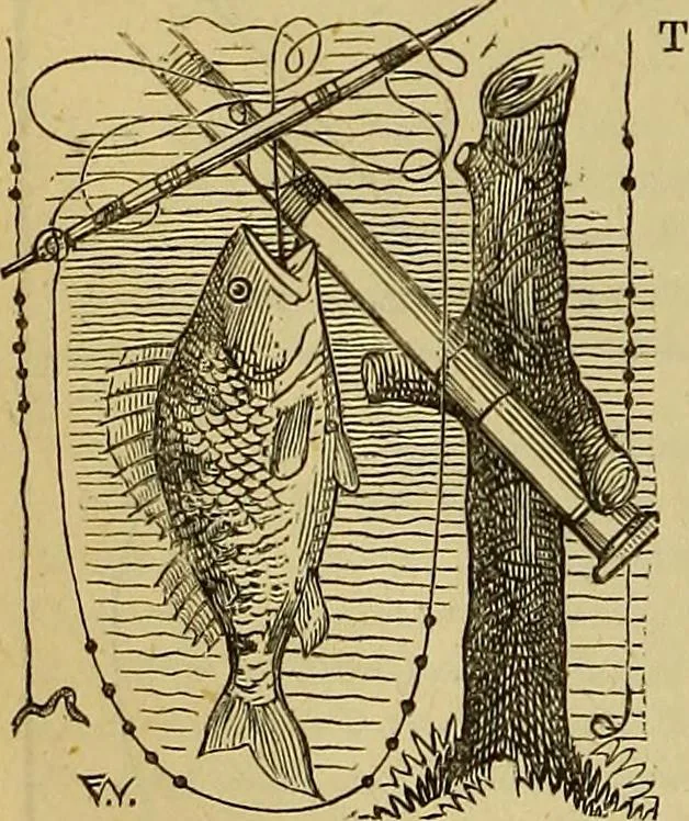 An illustration from The Popular recreator. A key to in-door and out-door amusements .., 1873, leaf 219